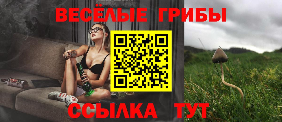 Галлюциногенные грибы Cubensis Заречный