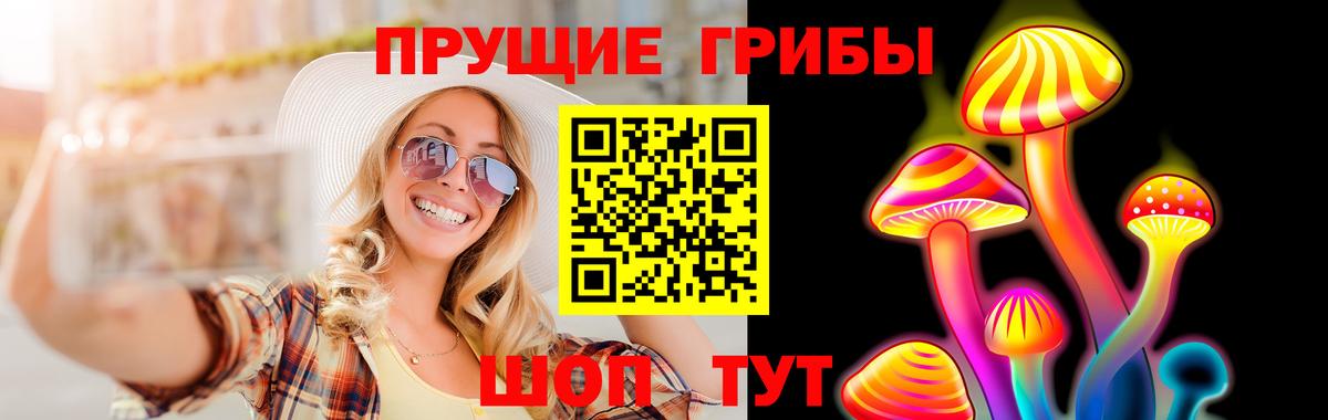 Галлюциногенные грибы MAGIC MUSHROOMS  Вход с VPN  Заречный  где купить наркоту  Галлюциногенные грибы Magic Shrooms 